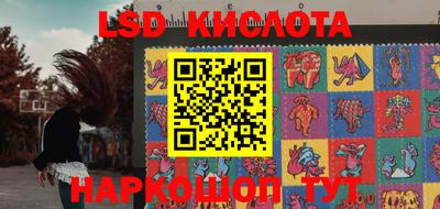 индика Владивосток