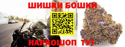 индика Владивосток