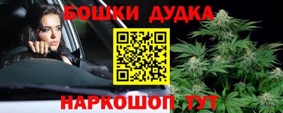 индика Владивосток