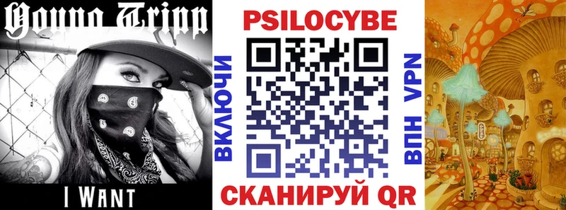 darknet Telegram  Липецк  Псилоцибиновые грибы Cubensis 