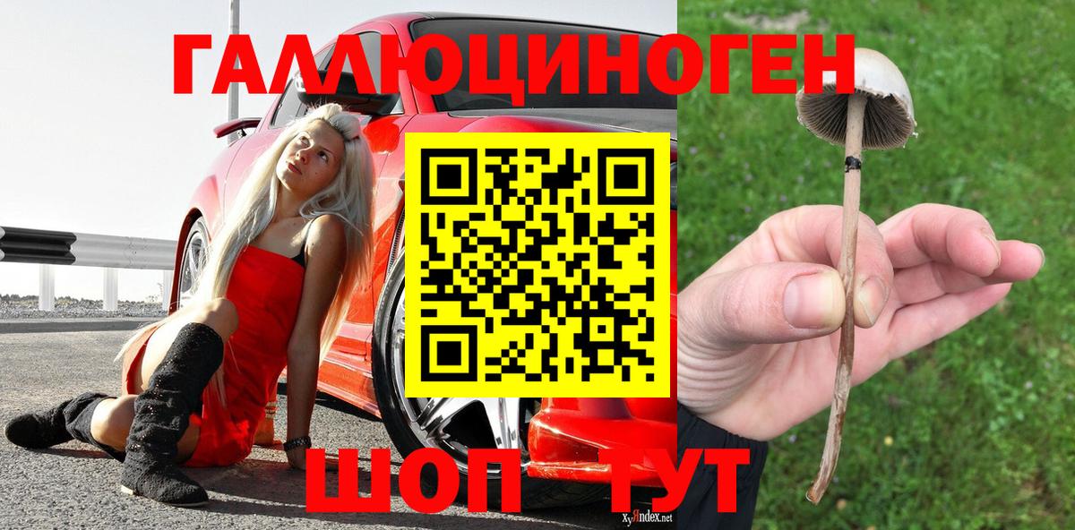 Галлюциногенные грибы мухоморы Липецк