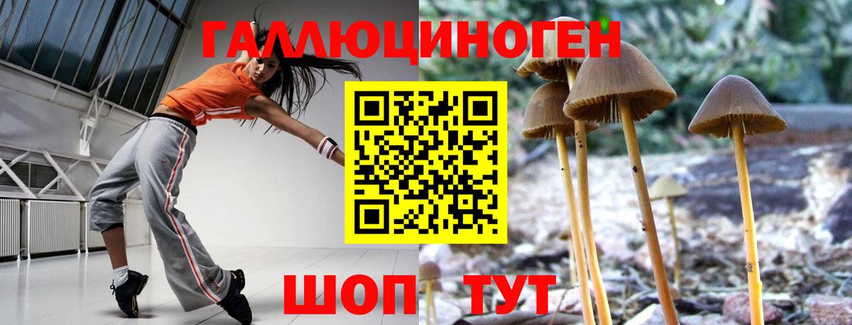 Галлюциногенные грибы Psilocybe  Вход с VPN  как найти наркотики  Липецк 